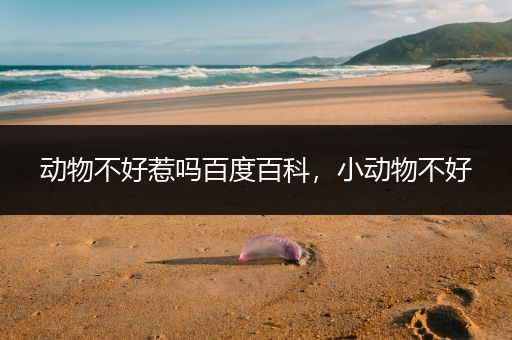 动物不好惹吗百度百科，小动物不好