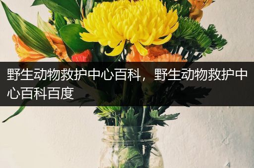 野生动物救护中心百科，野生动物救护中心百科百度
