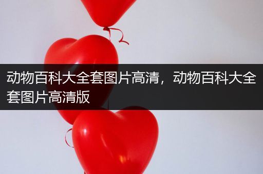 动物百科大全套图片高清，动物百科大全套图片高清版