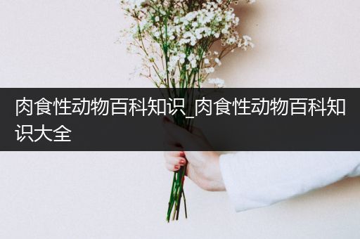 肉食性动物百科知识_肉食性动物百科知识大全