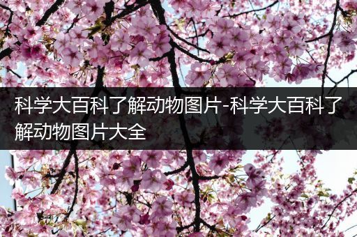 科学大百科了解动物图片-科学大百科了解动物图片大全