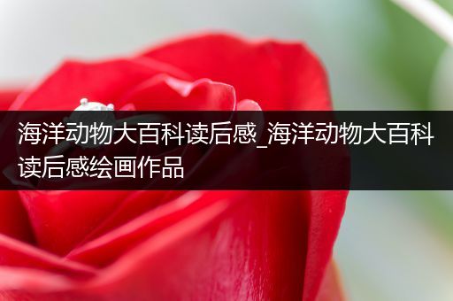 海洋动物大百科读后感_海洋动物大百科读后感绘画作品