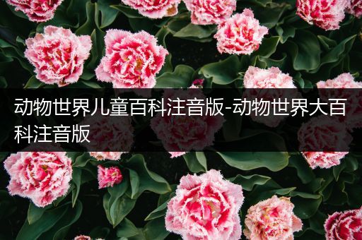 动物世界儿童百科注音版-动物世界大百科注音版