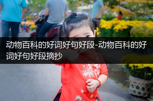 动物百科的好词好句好段-动物百科的好词好句好段摘抄