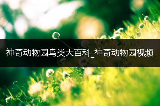 神奇动物园鸟类大百科_神奇动物园视频