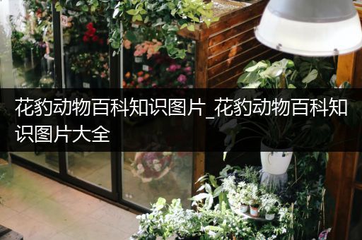 花豹动物百科知识图片_花豹动物百科知识图片大全