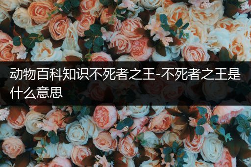动物百科知识不死者之王-不死者之王是什么意思