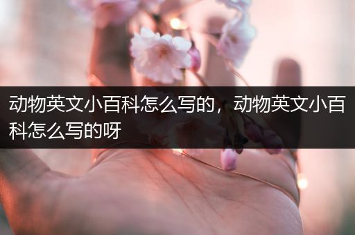 动物英文小百科怎么写的，动物英文小百科怎么写的呀
