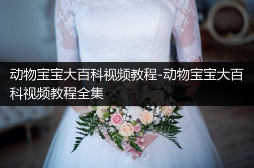 动物宝宝大百科视频教程-动物宝宝大百科视频教程全集