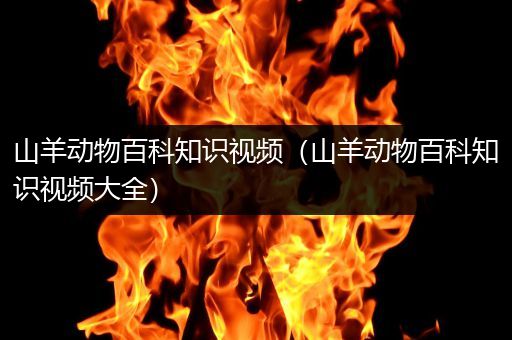 山羊动物百科知识视频（山羊动物百科知识视频大全）