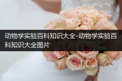 动物学实验百科知识大全-动物学实验百科知识大全图片