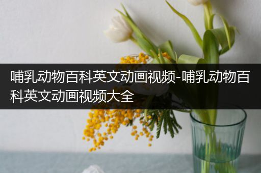 哺乳动物百科英文动画视频-哺乳动物百科英文动画视频大全