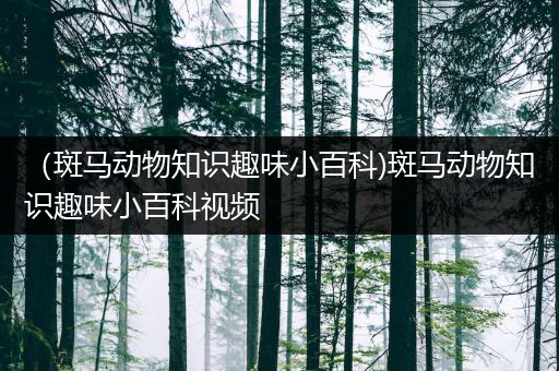（斑马动物知识趣味小百科)斑马动物知识趣味小百科视频