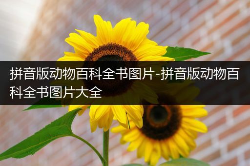 拼音版动物百科全书图片-拼音版动物百科全书图片大全