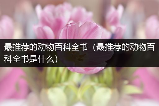 最推荐的动物百科全书（最推荐的动物百科全书是什么）