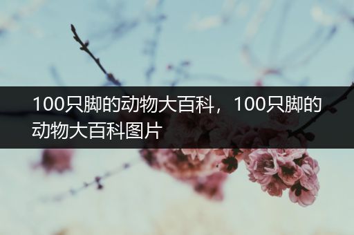 100只脚的动物大百科，100只脚的动物大百科图片