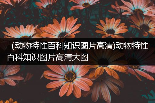 （动物特性百科知识图片高清)动物特性百科知识图片高清大图