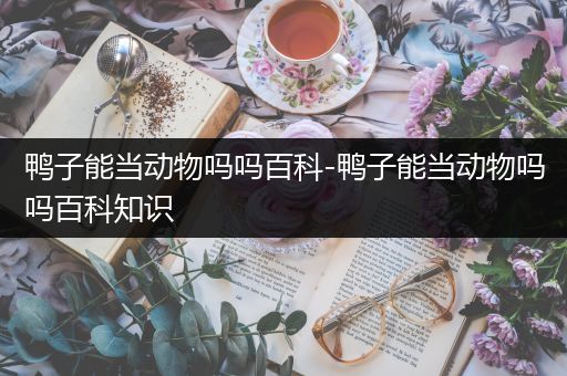 鸭子能当动物吗吗百科-鸭子能当动物吗吗百科知识