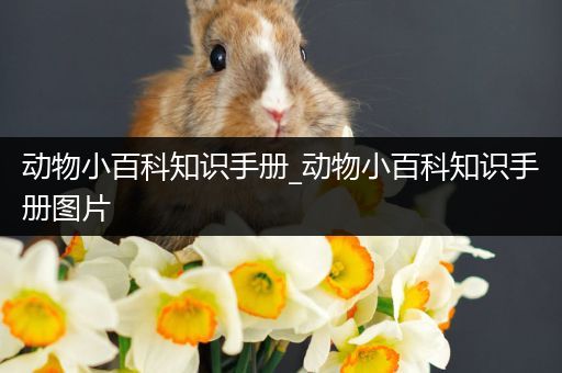 动物小百科知识手册_动物小百科知识手册图片