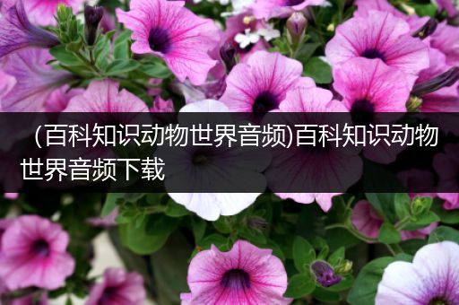 （百科知识动物世界音频)百科知识动物世界音频下载