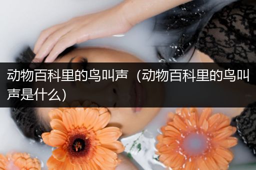 动物百科里的鸟叫声（动物百科里的鸟叫声是什么）