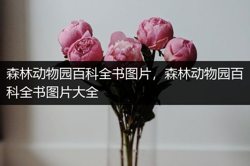 森林动物园百科全书图片，森林动物园百科全书图片大全