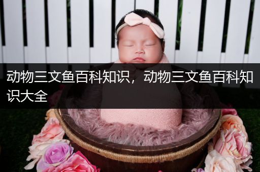 动物三文鱼百科知识，动物三文鱼百科知识大全
