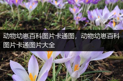 动物幼崽百科图片卡通图，动物幼崽百科图片卡通图片大全