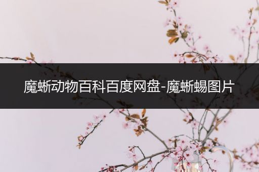 魔蜥动物百科百度网盘-魔蜥蜴图片