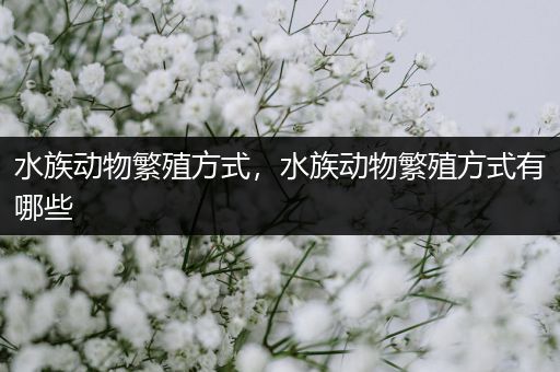 水族动物繁殖方式，水族动物繁殖方式有哪些