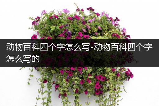 动物百科四个字怎么写-动物百科四个字怎么写的