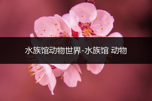 水族馆动物世界-水族馆 动物