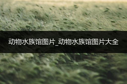 动物水族馆图片_动物水族馆图片大全