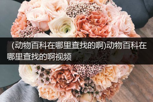 （动物百科在哪里查找的啊)动物百科在哪里查找的啊视频