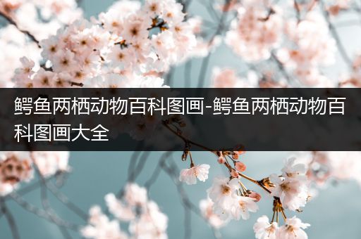 鳄鱼两栖动物百科图画-鳄鱼两栖动物百科图画大全