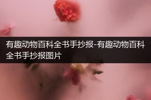 有趣动物百科全书手抄报-有趣动物百科全书手抄报图片