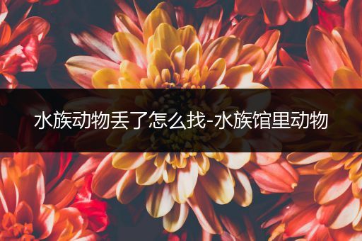 水族动物丢了怎么找-水族馆里动物