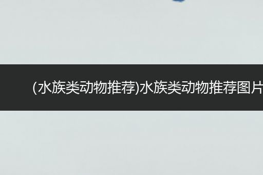 （水族类动物推荐)水族类动物推荐图片