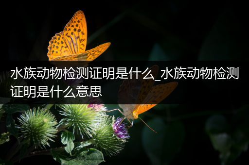 水族动物检测证明是什么_水族动物检测证明是什么意思
