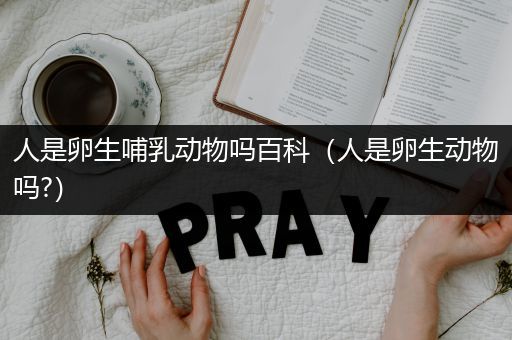 人是卵生哺乳动物吗百科（人是卵生动物吗?）