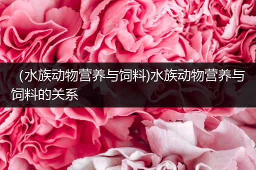 （水族动物营养与饲料)水族动物营养与饲料的关系