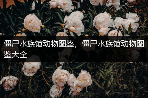 僵尸水族馆动物图鉴，僵尸水族馆动物图鉴大全
