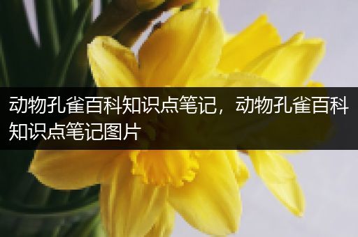动物孔雀百科知识点笔记，动物孔雀百科知识点笔记图片
