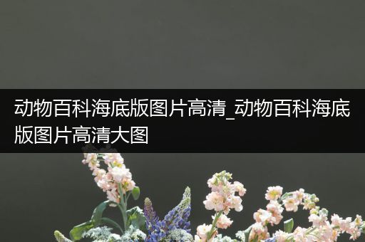 动物百科海底版图片高清_动物百科海底版图片高清大图