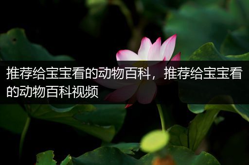 推荐给宝宝看的动物百科，推荐给宝宝看的动物百科视频