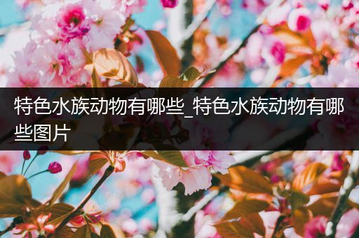 特色水族动物有哪些_特色水族动物有哪些图片