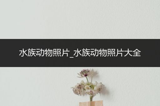 水族动物照片_水族动物照片大全