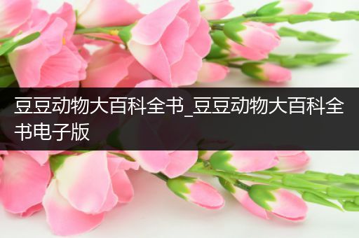 豆豆动物大百科全书_豆豆动物大百科全书电子版