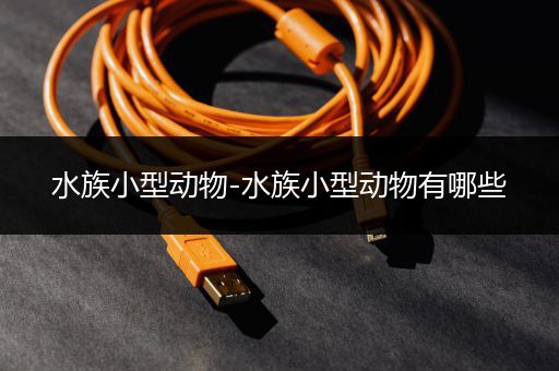 水族小型动物-水族小型动物有哪些