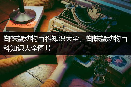 蜘蛛蟹动物百科知识大全，蜘蛛蟹动物百科知识大全图片